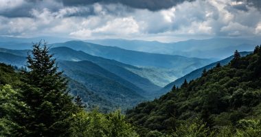 a landscape with trees and hills