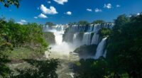 best-time-to-visit-argentina trees beside waterfalls