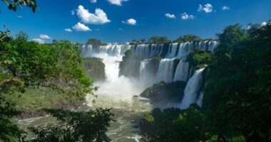 best-time-to-visit-argentina trees beside waterfalls
