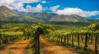 wine tasting in Argentina