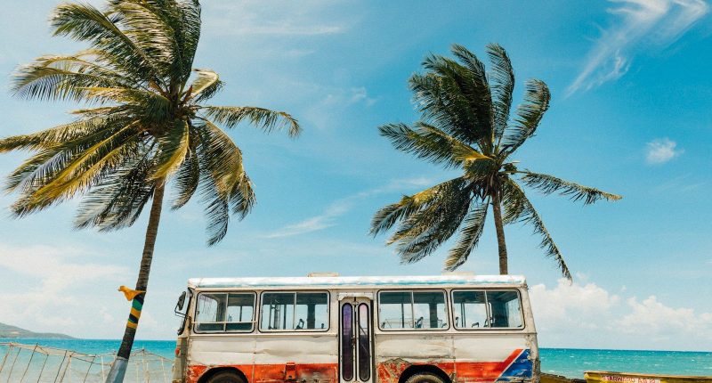 Jamaica travel guide white and blue bus near palm tree under blue sky during daytime